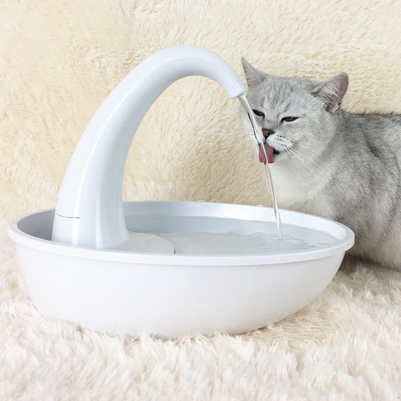 静かにうるおう陶器の自動給水器