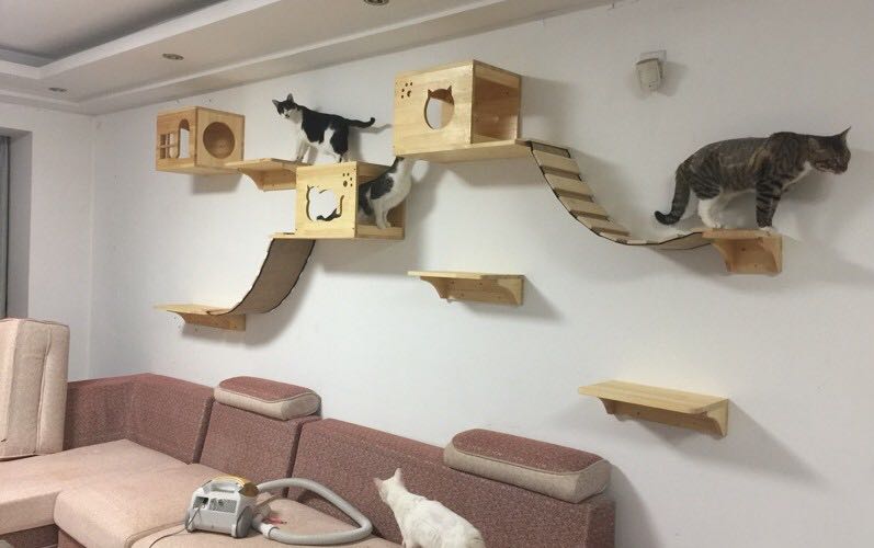 壁づけ天然木キャットステップ 設置イメージ